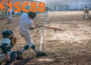 Cá Cược Bóng Chày