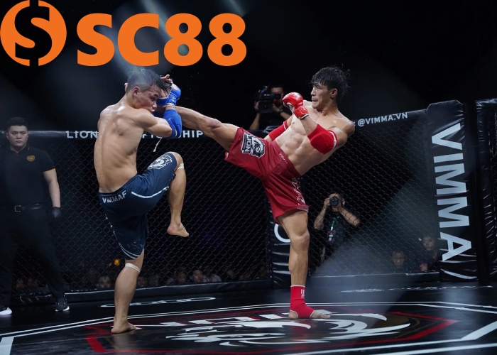 Cá Cược MMA